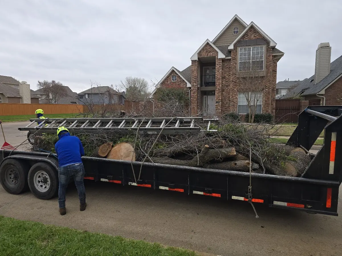 Expert Tree Removal with proper safety equipment in Elizabethtown
